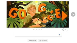 Google Doodle: Steve Irwin