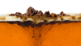 Ist Kaffee die Lösung gegen das desaströse Palmöl?