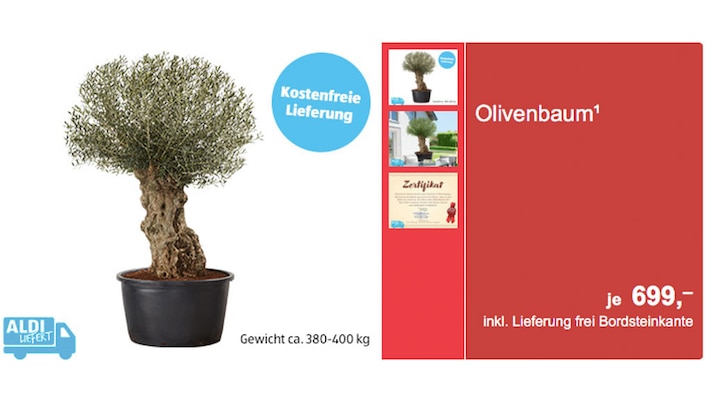 Aldi liefert 400-Kilo-Olivenbaum bis zum Bordstein  und dann? - COMPUTER  BILD