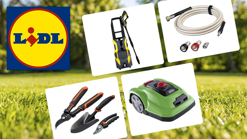 LidlGarten So gut sind die aktuellen Deals COMPUTER BILD