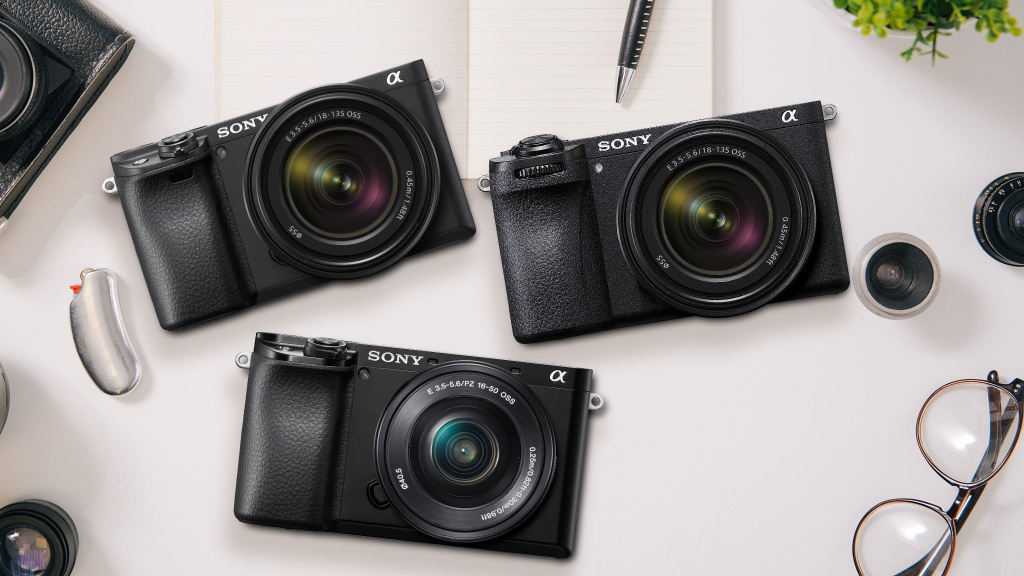 Sony, iStock.com/Zinkevych