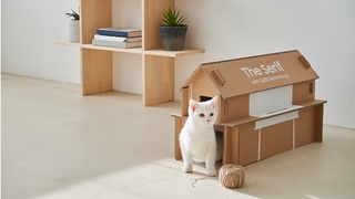 Katzenhaus aus Samsung-Verpackung