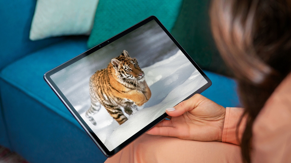 Frau hält das Lenovo Tab P11 Pro, auf dem Bildschirm ist ein Tiger zu sehen.