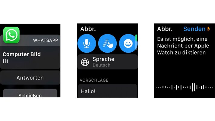 vibration apple watch einstellen whatsapp 🥳 Nach 10 Jahren: WhatsApp offiziell auf der Apple Watch! Mit diesem  Tutorial bekommst du WhatsApp auf Apple Watch #whatsapptricks #whatsapp # applewatch