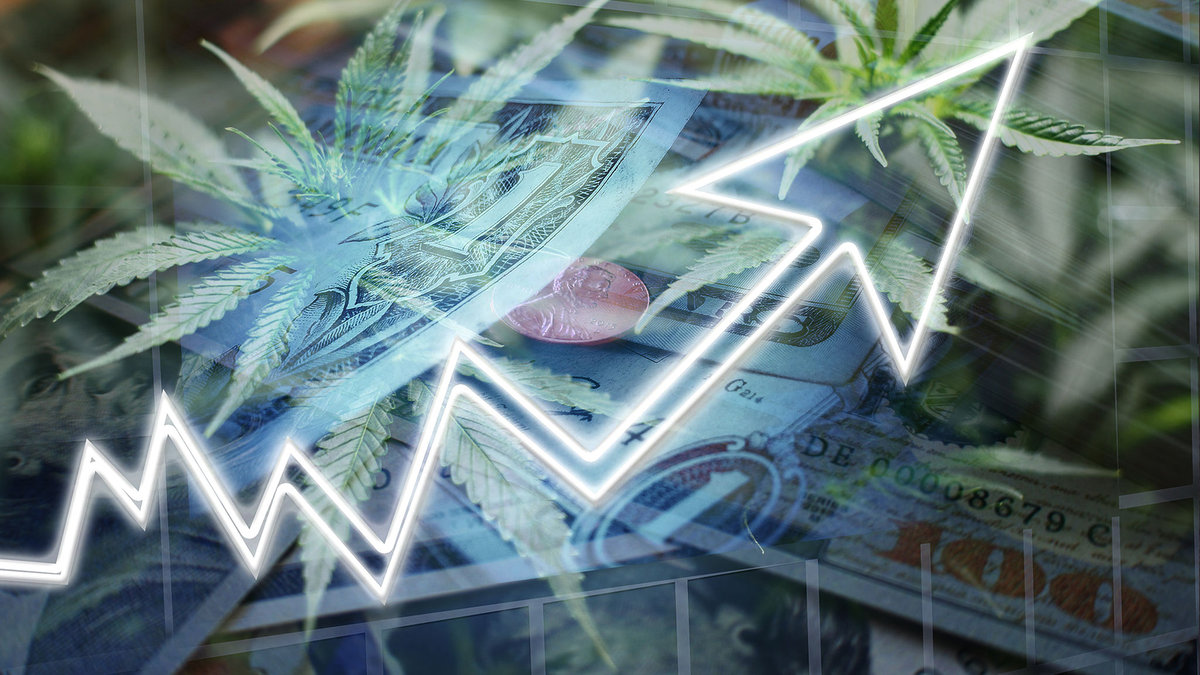 CanG kommt: Cannabis Aktien kaufen vor der Entkriminalisierung?
