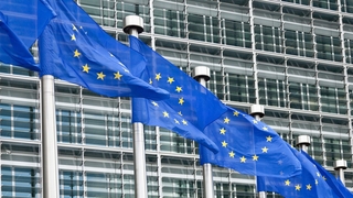 Europa-Flaggen vor dem Parlamentssitz der EU