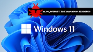 Windows 11 Fake-Installer