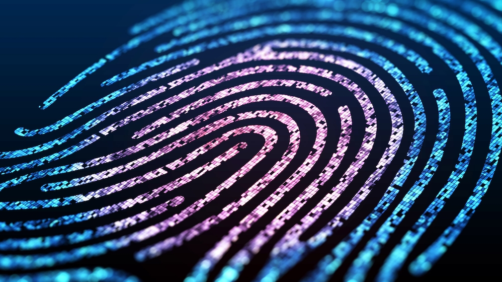 BrowserFingerprinting Spionage durch die Hintertür COMPUTER BILD