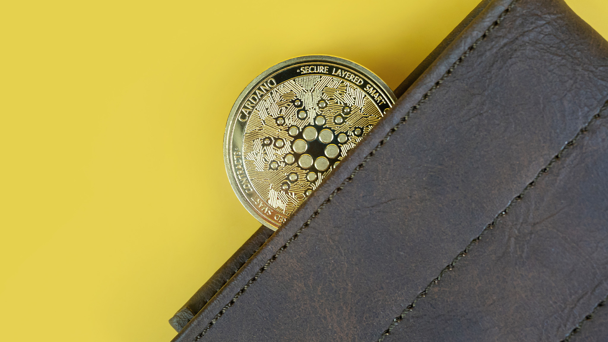 Cardano (ADA) kaufen 2024: Kurs und Prognose 2024 - COMPUTER BILD