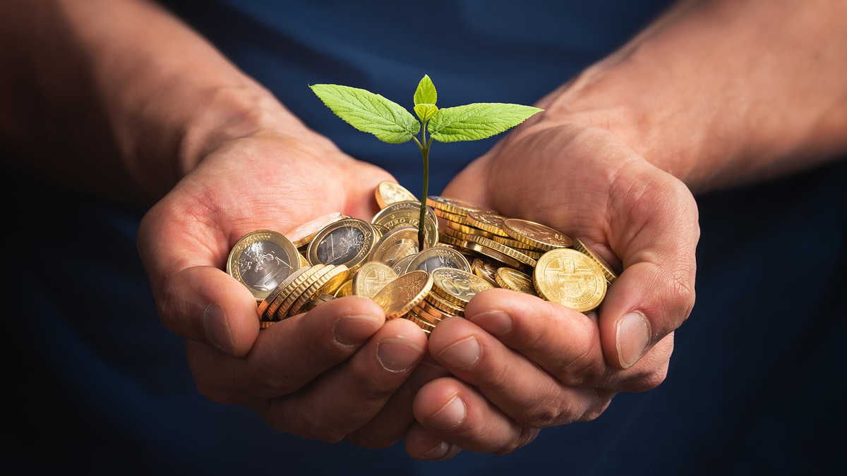 zinsloses darlehen so leihen oder verleihen sie geld computer bild