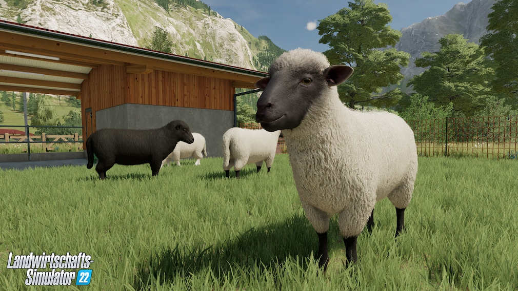 Landwirtschafts-Simulator 22 Schafe auf der Weide