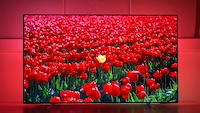 Philips-Fernseher zeigt Tulpenmeer