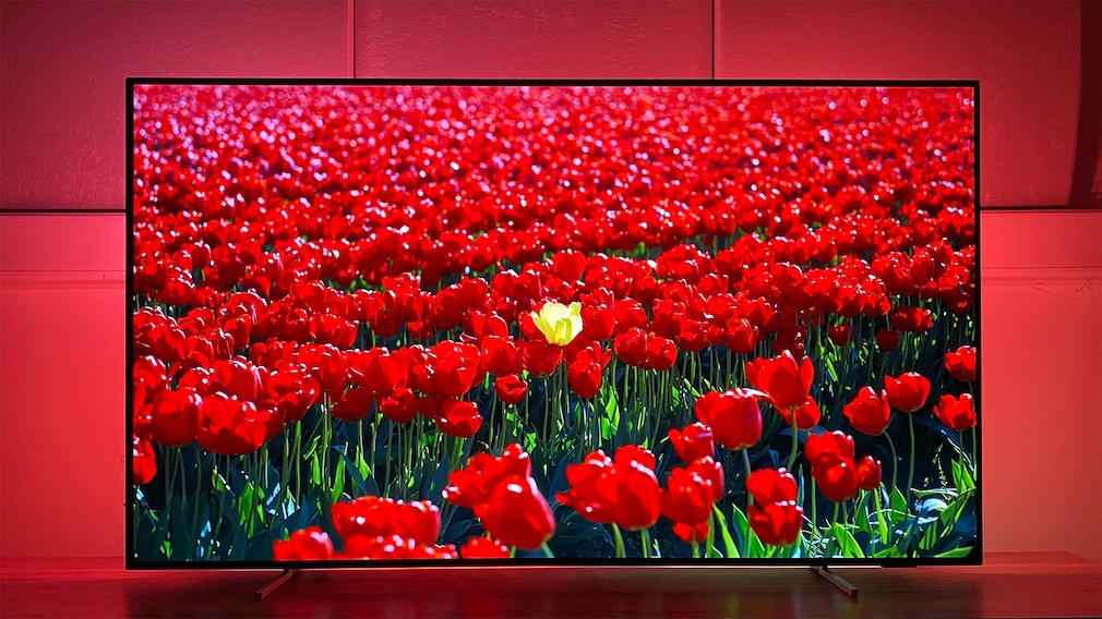 Philips-Fernseher zeigt Tulpenmeer