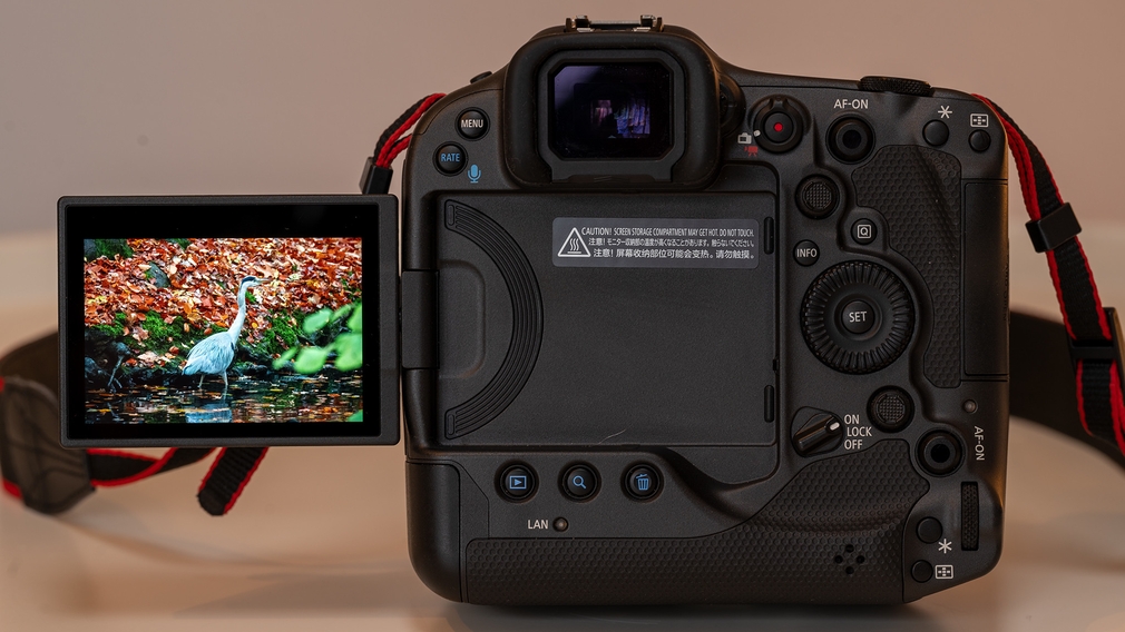 Canon EOS R3 display