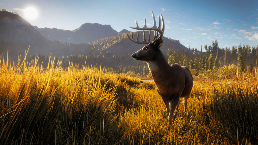 Thehunter call of the wild pc requirements gaslocal