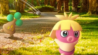 Zwei kleine Pokémon bekämpfen sich auf einer Wiese.