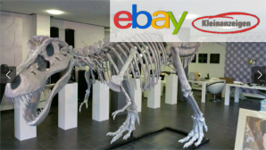 Ebay Kleinanzeigen: Dino-Skelett © Ebay Kleinanzeigen