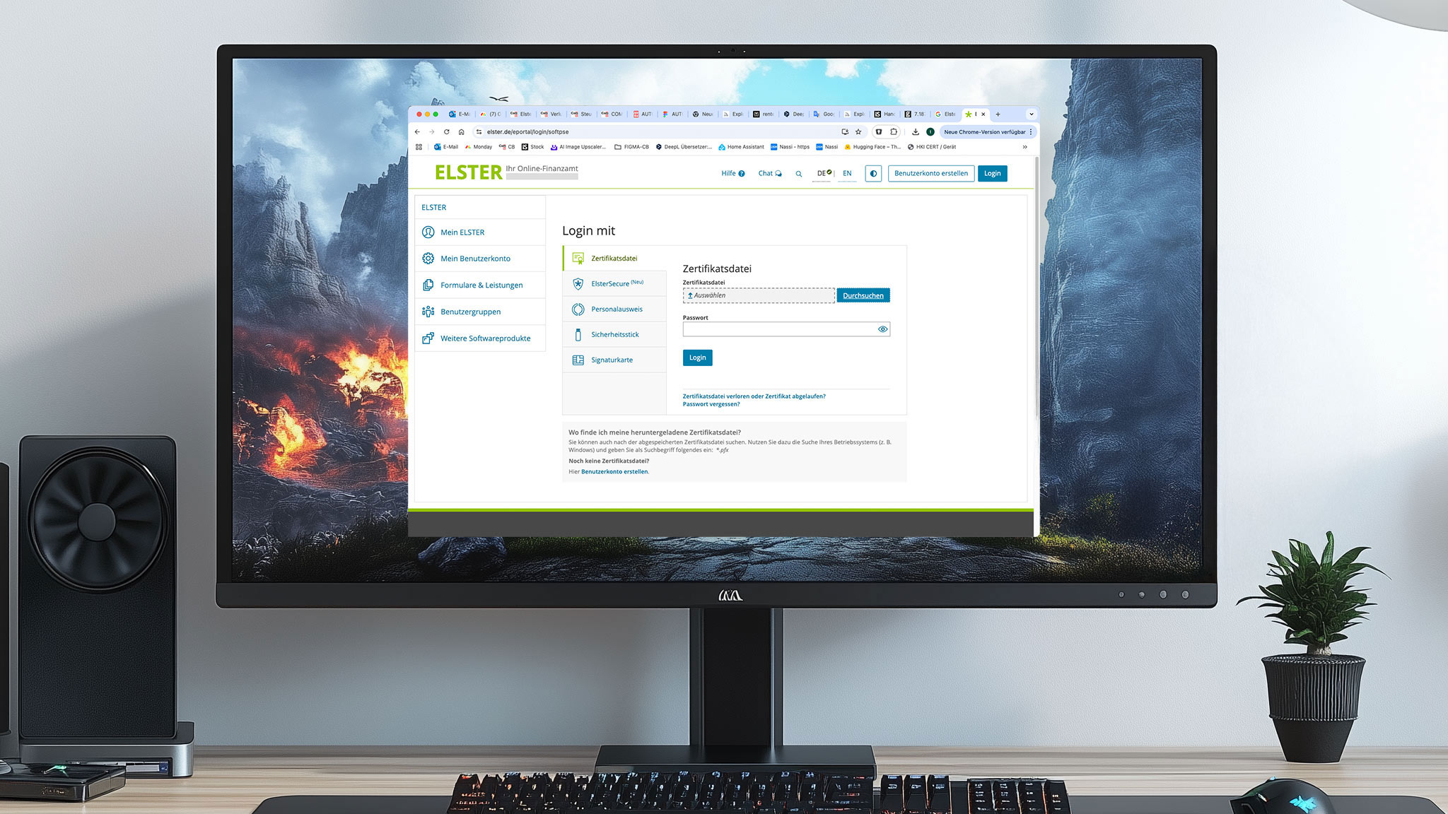 EINLOGGEN IN MEIN ELSTER visual data 6