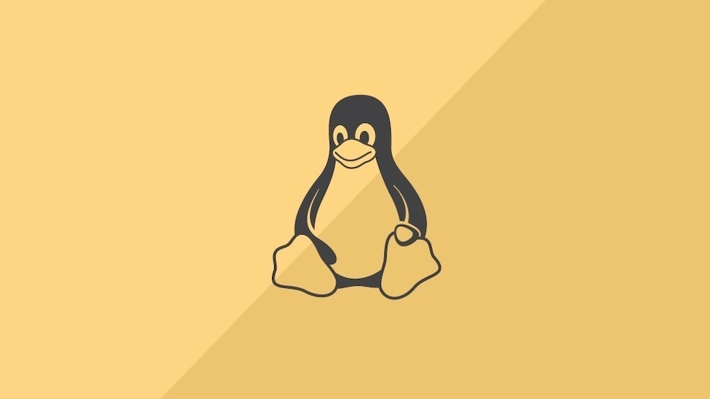 Linux auf externe Festplatte installieren