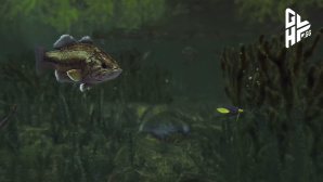 Ein Fisch unter Wasser schwimmt auf einen Köder zu. © Dovetail Games