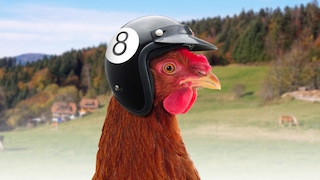 Helm für Hühner