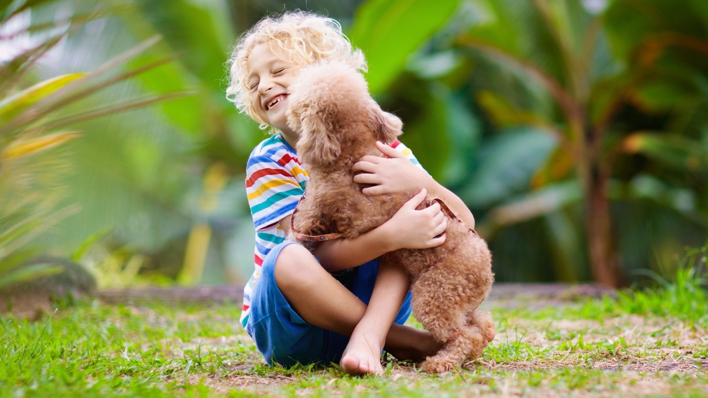 Ein Kind spielt mit einem Hund