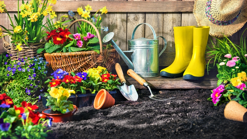 Gartenwerkzeuge und Pflanzen