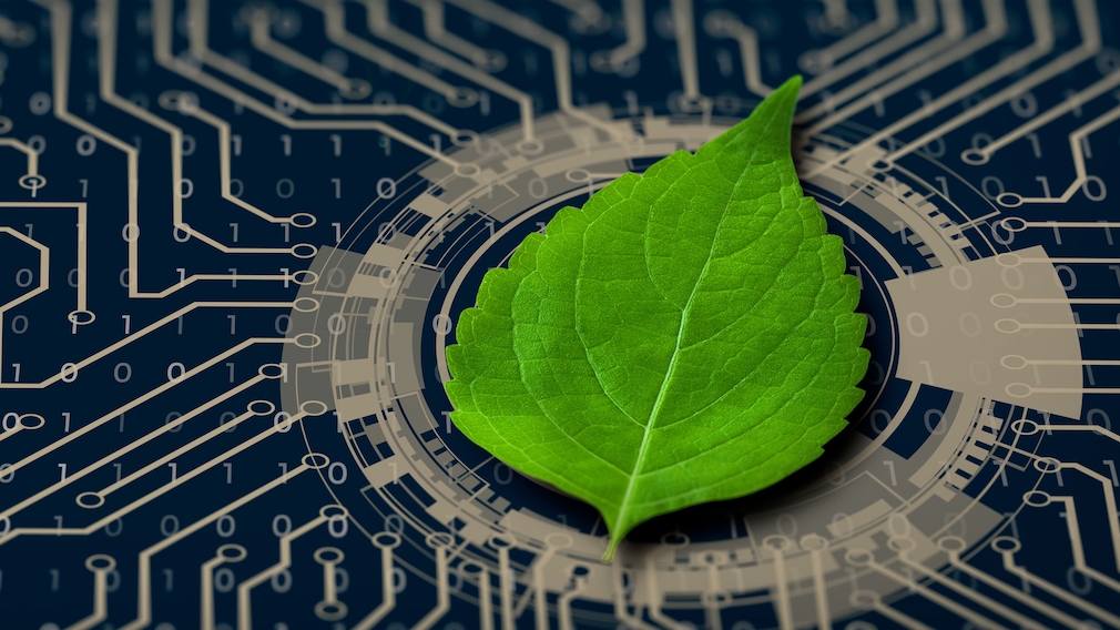 Green Coding: Grüne Software macht IT nachhaltig