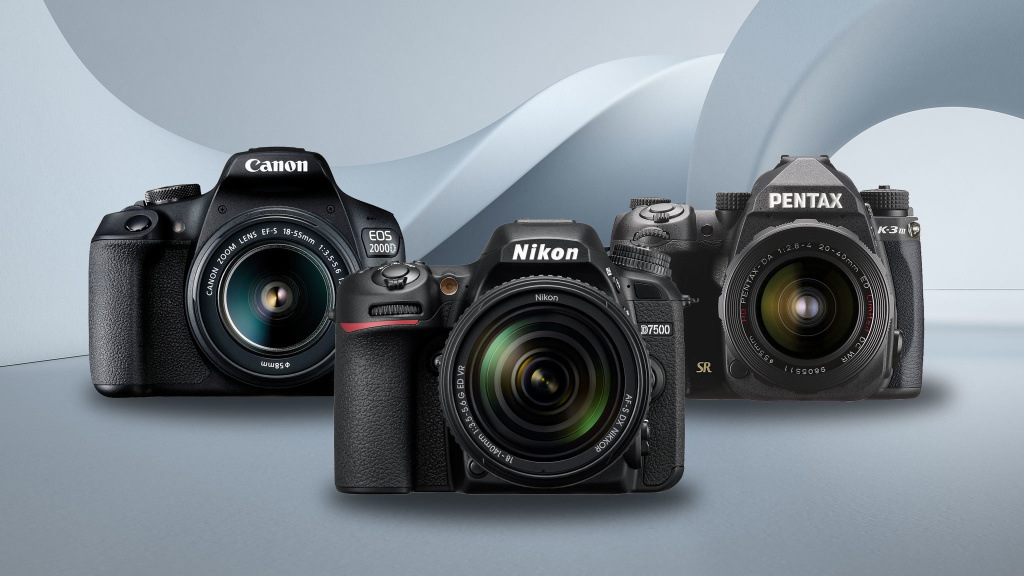 iStock.com/terng99, Canon, Nikon, Ricoh Imaging
