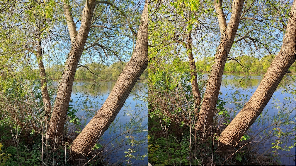 Shot with the standard camera: A52 vs. A53