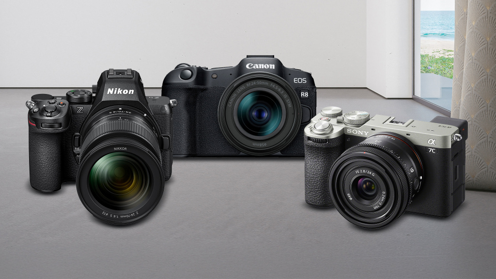 Canon, Sony, Nikon, iStock.com/MIRROR IMAGE STUDIO