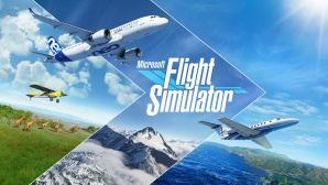 Microsoft Flight Simulator © Microsoft