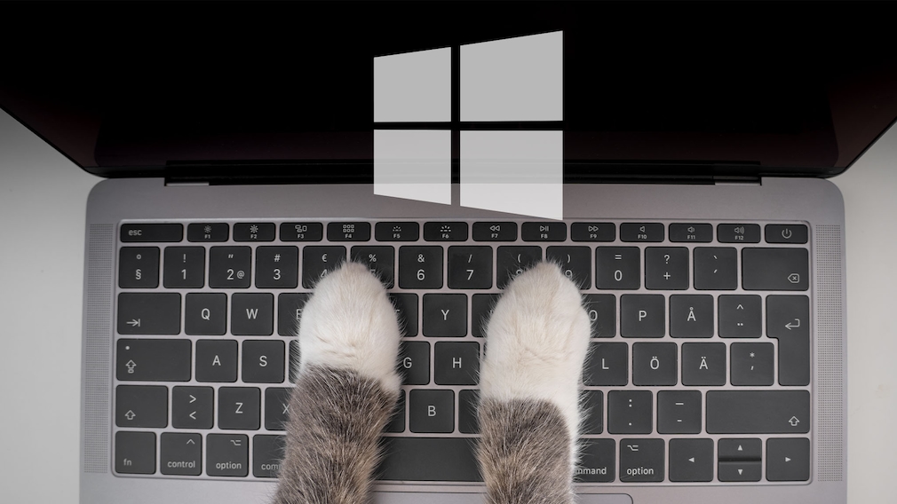PC vor Katzten schützen: Tuning-Tool bringt Katzenschutz-Modus für Windows