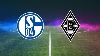 Schalke 04 gegen Borussia Mönchengladbach: Logos vor dem Rasenin﻿﻿﻿﻿ András Schäfer gegen 