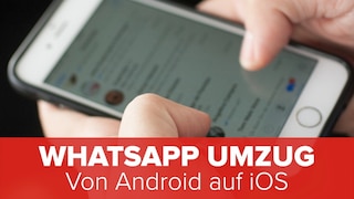 WhatsApp Umzug: Von Android auf iOS