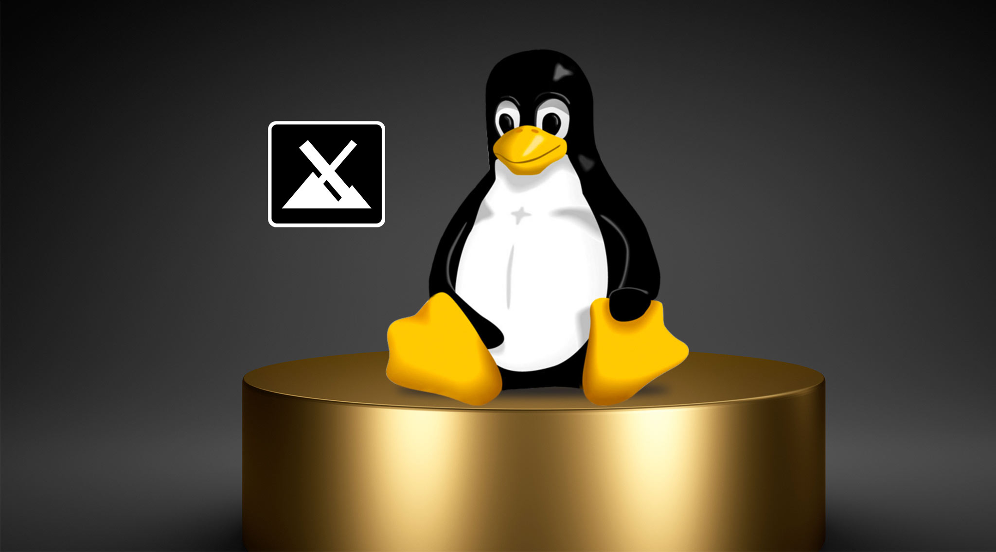 Linux MX: Die beliebteste Linux-Distribution – aktualisiert - COMPUTER BILD