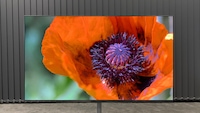 LG OLED M4 im Test