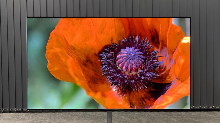 LG OLED M4 im Test