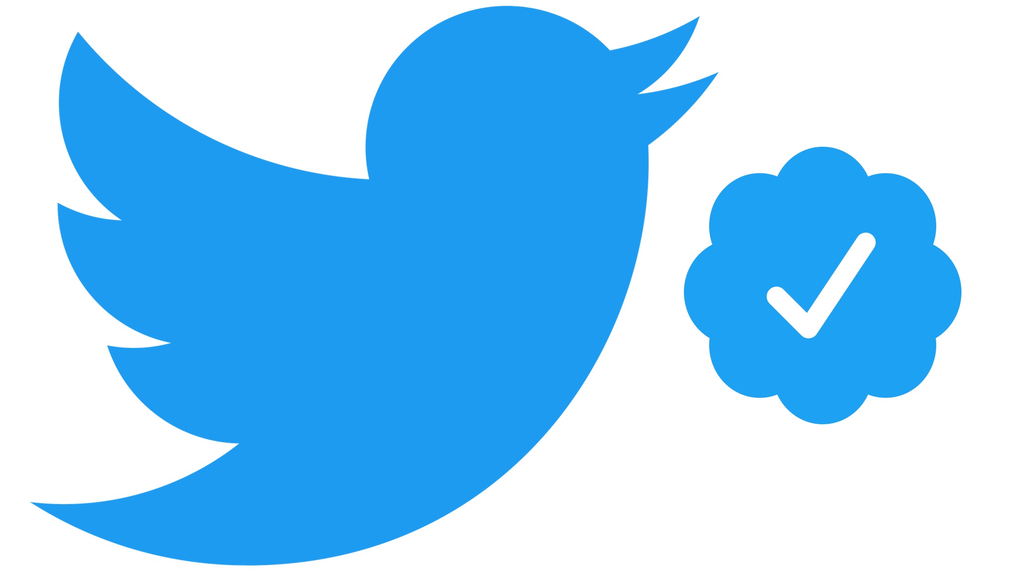 twitter-verifikation-soll-bald-viel-geld-kosten-computer-bild