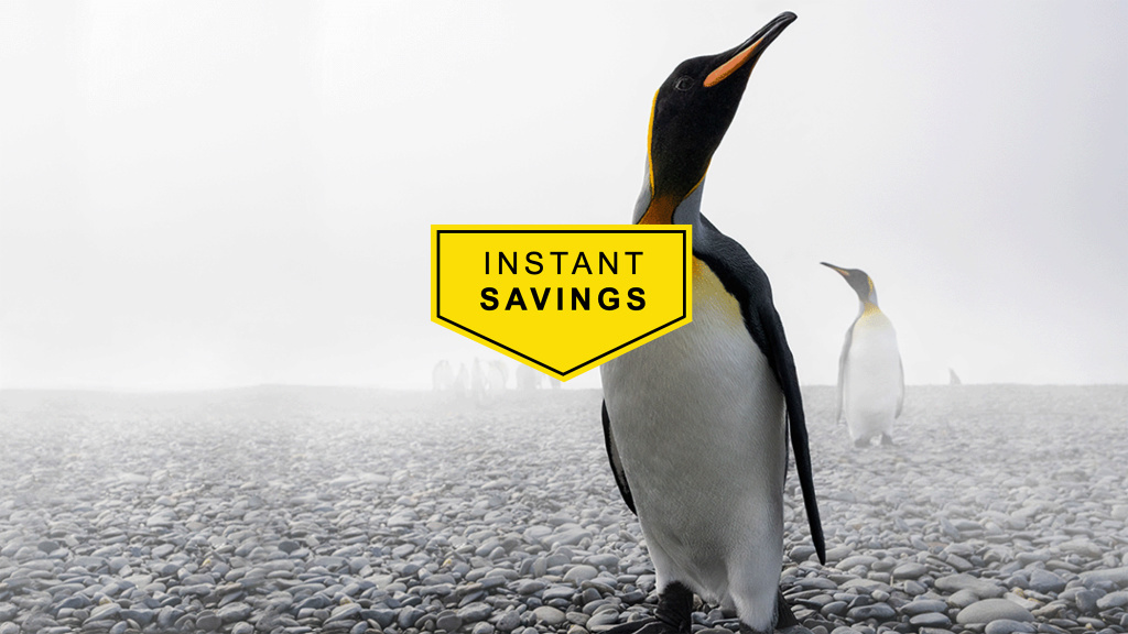 Nikon Winter Sofortrabatt: Sparen bei Kameras und Objektiven