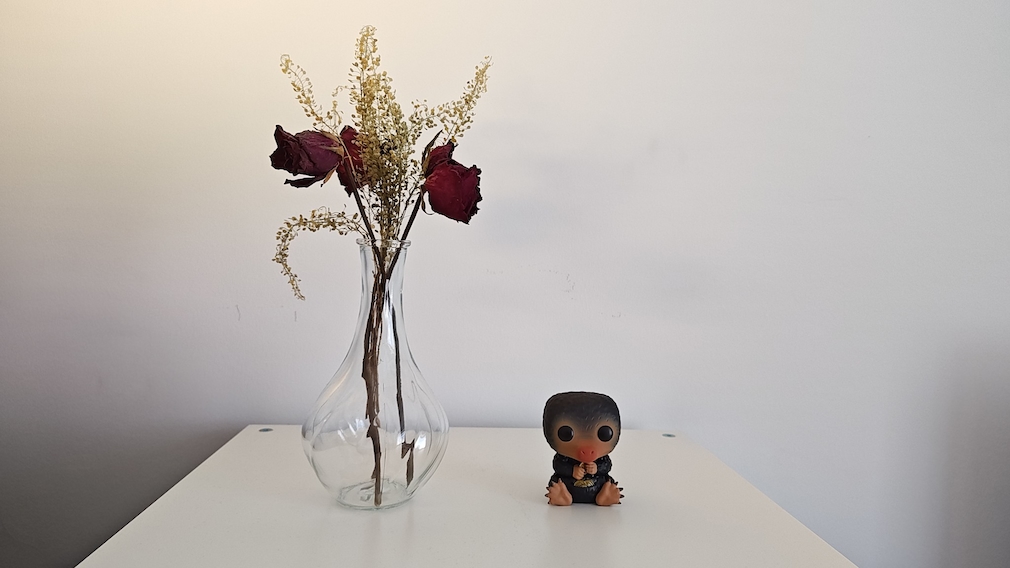 Trcokene Rosen in einer Vase neben einem Niffler auf einem Regal 