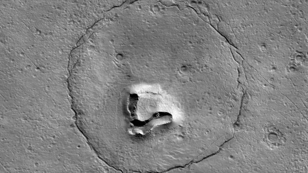 Bär auf dem Mars