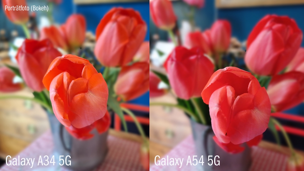 Galaxy A34 vs. A54: Porträt-Foto