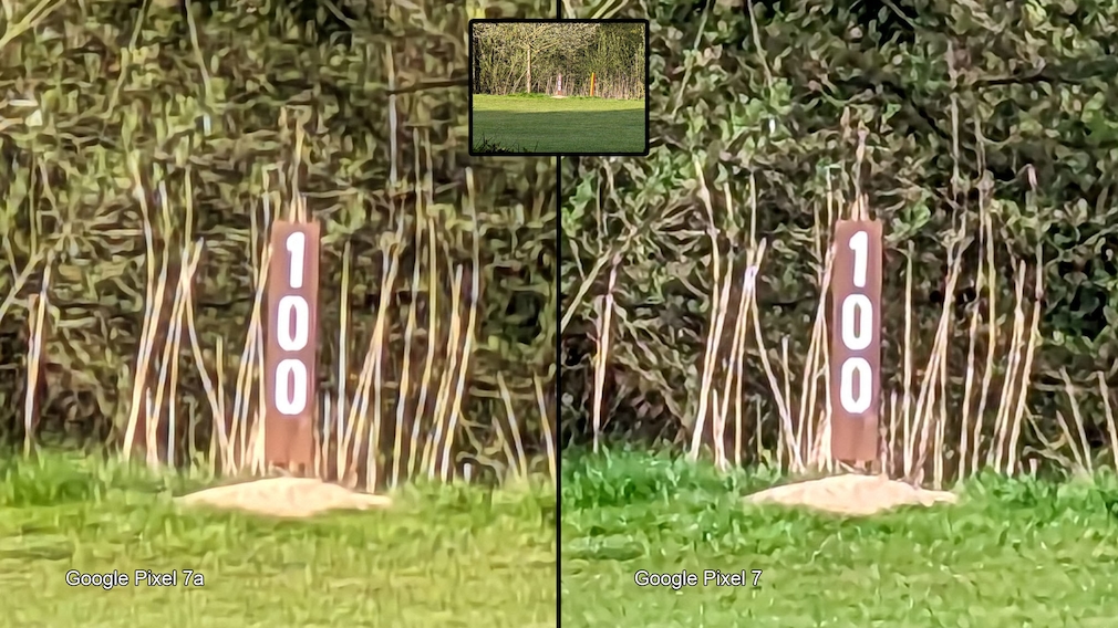 Fotovergleich: Google Pixel 7a vs. Google Pixel 7. Bildausschnitt Nahaufnahme.