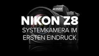 Nikon Z8: Erster Eindruck der Profi-Systemkamera