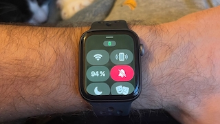 Bildschirm der Apple Watch mit einem Grünstich