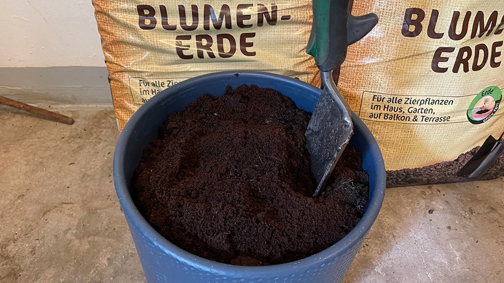 Kaffeesatz Ph Wert 1