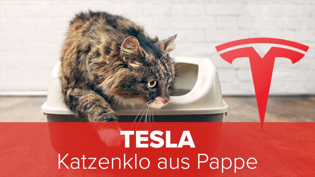 Tesla: Katzenklo aus Pappe - COMPUTER BILD