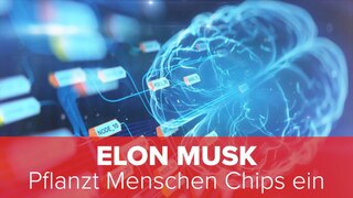 Elon Musk: Pflanzt Menschen Chips ein
