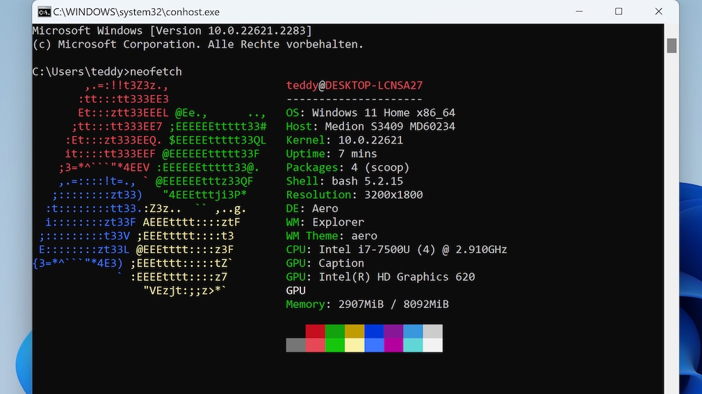 NeoFetch-Tutorial: Unter Windows mit dem Linux-Tool arbeiten - COMPUTER ...